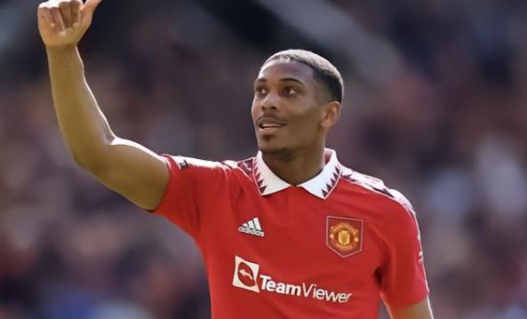 保持稳定的 保持稳定的